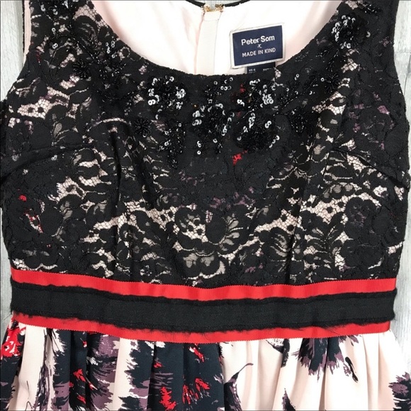 Anthro Peter Som Brushstrokes Blossom Dress 6 EUC - Picture 4 of 8